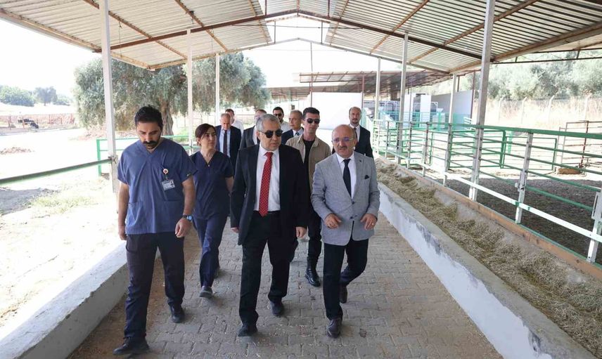 Adü rektörü Kent ziraat fakültesinde yenilikçi üretim projelerini inceledi