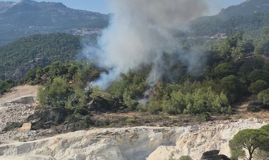 Milas Kayabükü'nde alevlere karşı hava ve kara müdahalesi