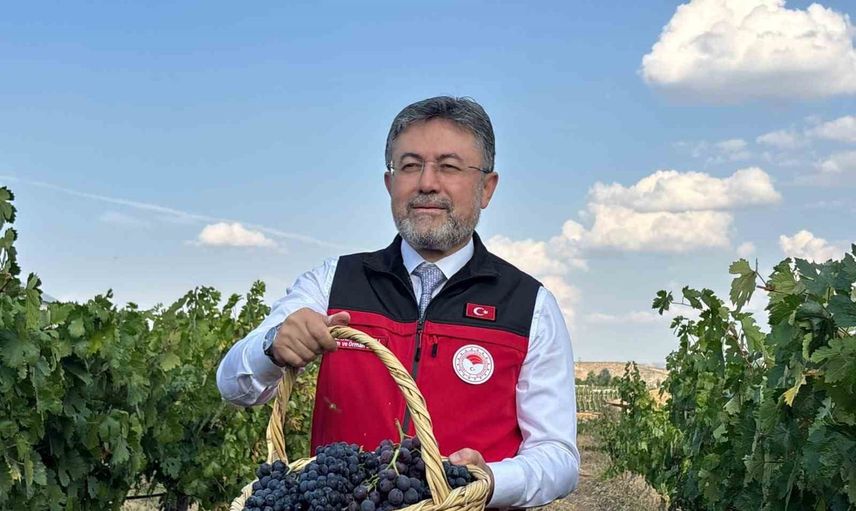 Kalecik'ten rekolte müjdesi: üzüm üretiminde 3 milyon 850 bin ton hedefi