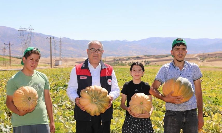 Elazığ'da tarlalar kabakla doldu: 2026 rekoltesi 4 bin tona yaklaşıyor
