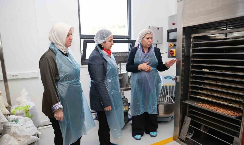 Tirmisten fonksiyonel gıdaya: teknoparkta bir kadın girişiminin yükselişi