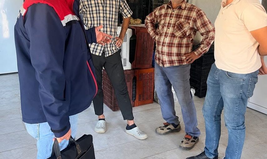 Aydın incirinde sıkı saha denetimleriyle marka güveni sağlanıyor