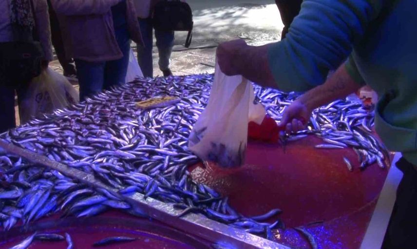 Eskişehirli balıkçıdan tasarruf çağrısı: bolluk varken stoklayın
