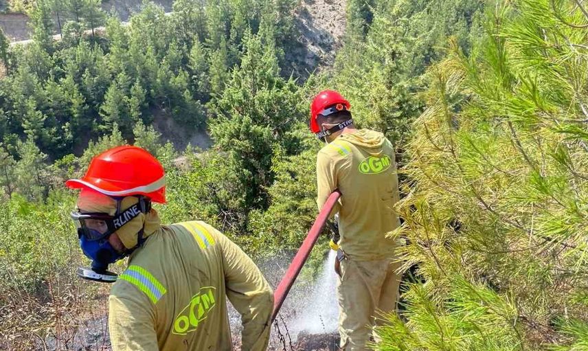 Feke'de Elemen Deresi'nde çıkan orman yangını kısa sürede kontrol altına alındı