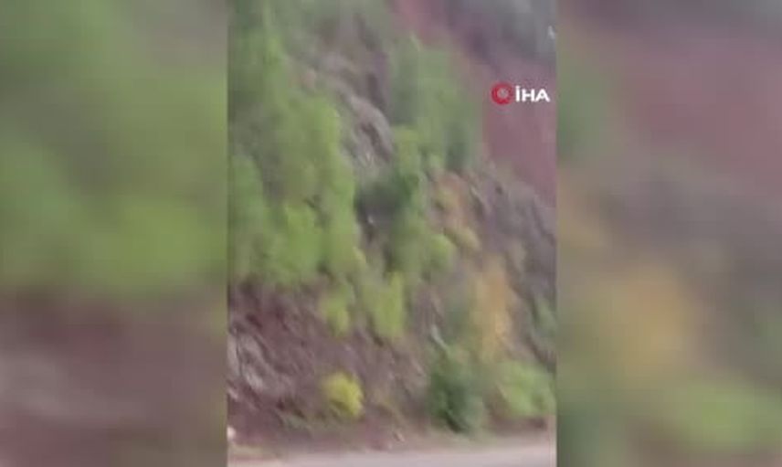 Yalova Armutlu'da çamlık alanda toprak kayması yola ağaç sürükledi