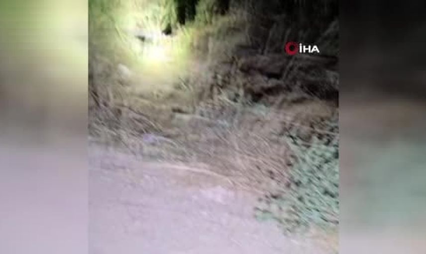 Belçika'dan tatil için gelen genç sürücü Serik'te dereye uçan araçta yaşamını yitirdi