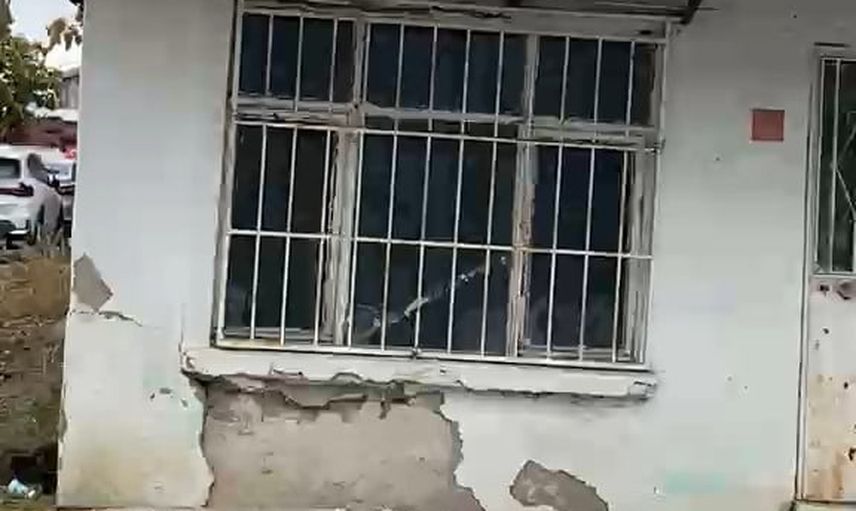 Edirne'de çatıda otlayan koyun ilçe sakinlerini şaşırttı