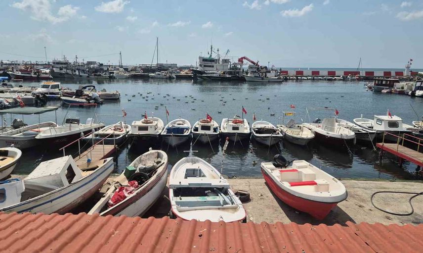 Palamut sezonu açıldı: tekneler bu gece denize açılıyor