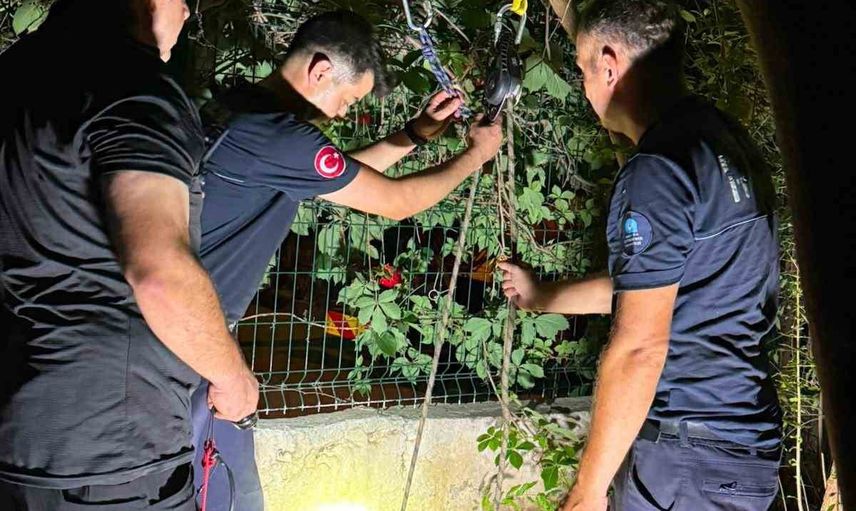 Kuyudan umut çıktı: itfaiyenin 5 saatlik yavru kedi kurtarma operasyonu