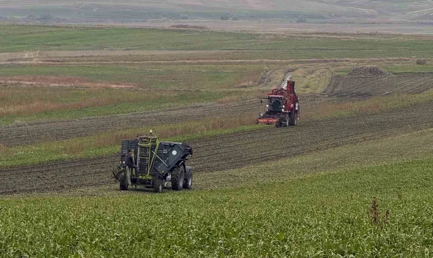 Kaymakam Demirtaş hasat mesaisinde üreticilerle buluştu