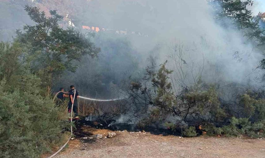 Kuşadası'nda Ada Göl yakınında ağaçlık yangını itfaiye müdahalesiyle söndürüldü