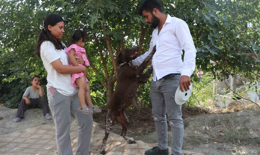 Adana'da komşu tarafından sopayla darbedilen köpeğin görüntüleri ortaya çıktı