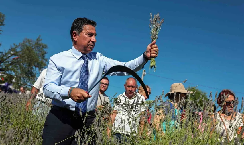 Koku vadisinde mor hasat: lavantadan katma değere yerel dönüşüm