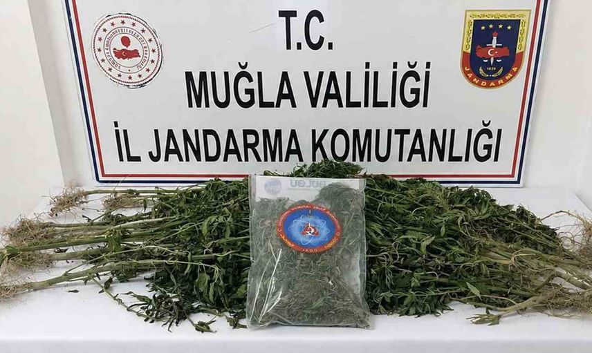 Temmuzda Muğla'da uyuşturucu ağına darbe: 33 kişi tutuklandı