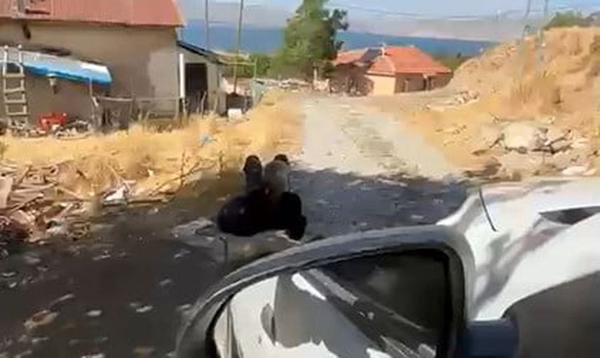 Elazığ'da köyde zincirlenen yaşlı adamın görüntüleri kayda geçti