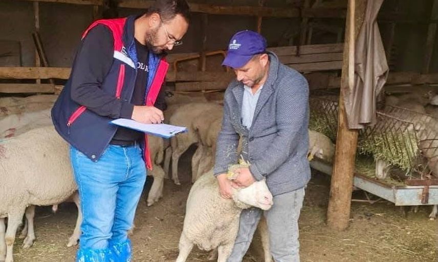 Sürdürülebilir koyun projesinde sahada kapsamlı denetimler