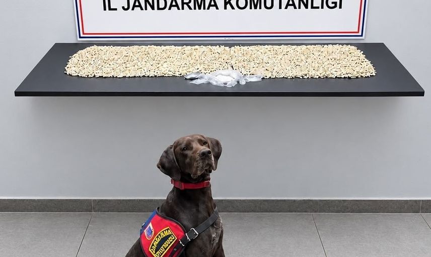 Eyyübiye'de jandarma operasyonu: 14 bin 410 Captagon ve 20 gram metamfetamin ele geçirildi