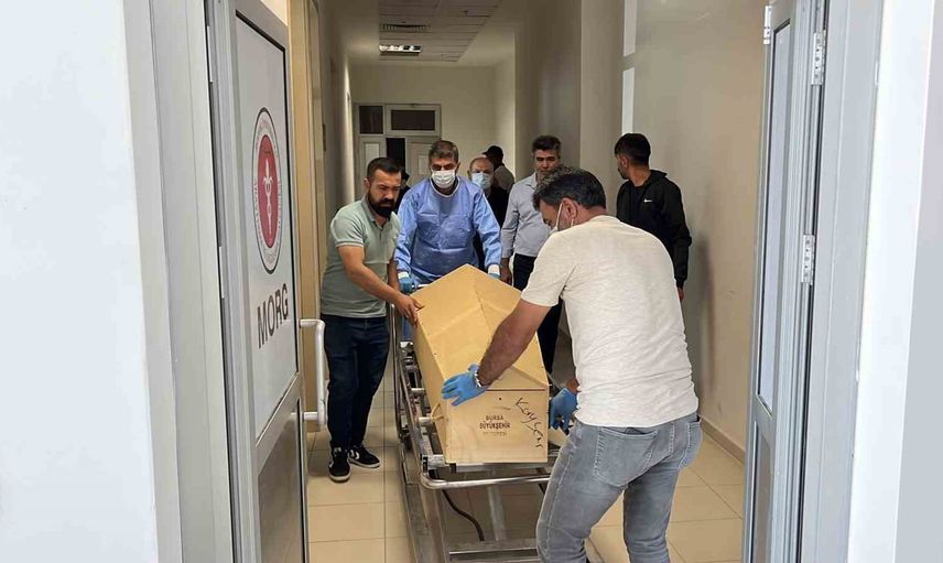 Kene ısırığı şüphesiyle tedaviye alınan 57 yaşındaki kadın hayatını kaybetti