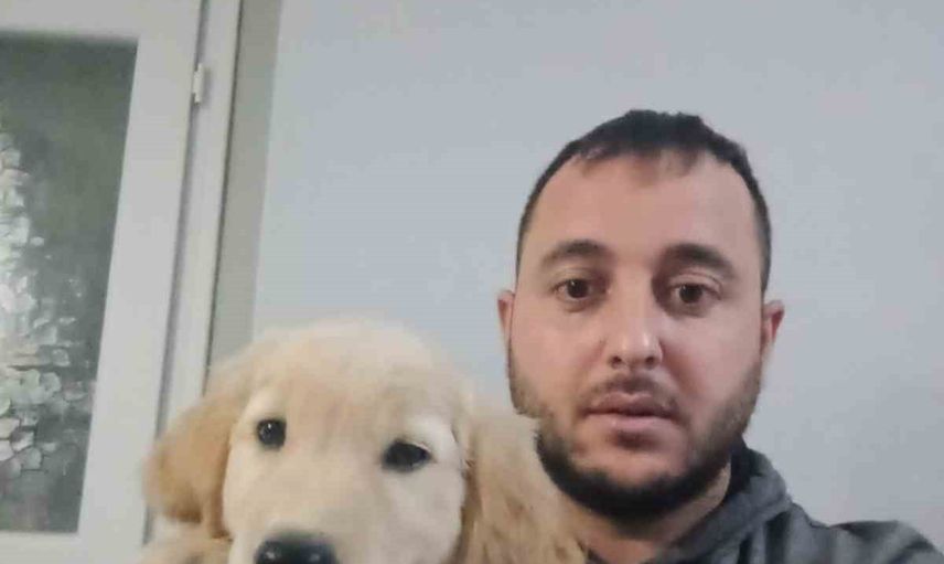 Motosikletli hırsızların hedefi: Dörtyol'da ailenin 'Tomi' adlı köpeği çalındı