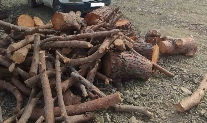 Orman denetiminde Pazarcık'ta kaçak emvali ele geçirildi