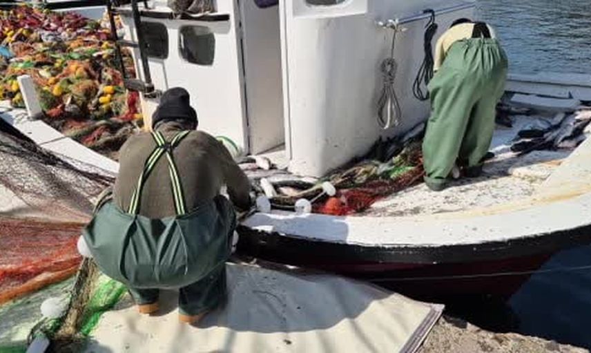 Marmara’da teknenin ağzını dolduran kefal bereketi