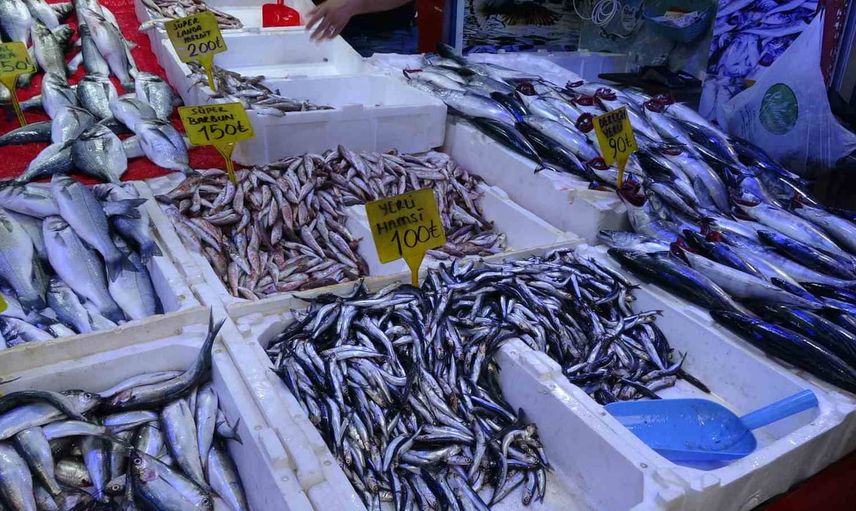 Palamut bolluğu tezgahları canlandırdı