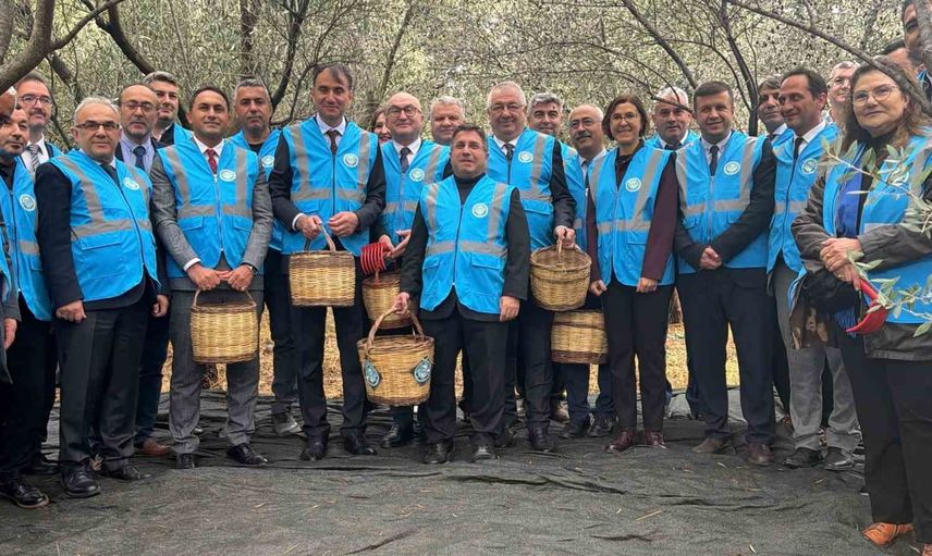 Edremit’te zeytin bilimi ve gelenek bir arada