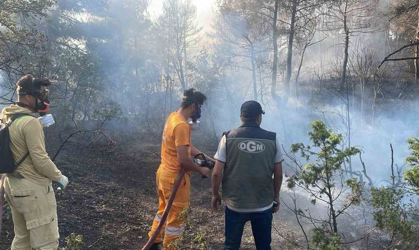 Göynük Karacalar'da orman yangını zamanında müdahaleyle kontrol altına alındı
