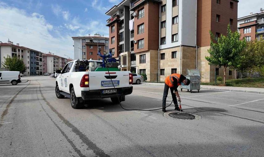 Elazığ'da sivrisinek ve karasineklere karşı yıl boyu larva savaşı