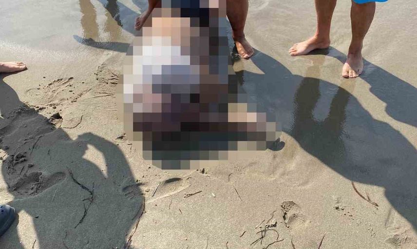 Kuşadası'nda Samos dönüşünde kaybolduğu iddia edilen müteahhitin cansız bedeni sahilde bulundu