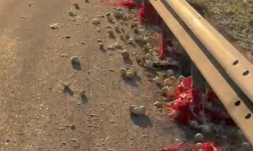 Eskişehir'de kontrolden çıkan soğan yüklü kamyon devrildi, yol trafiğe kapandı