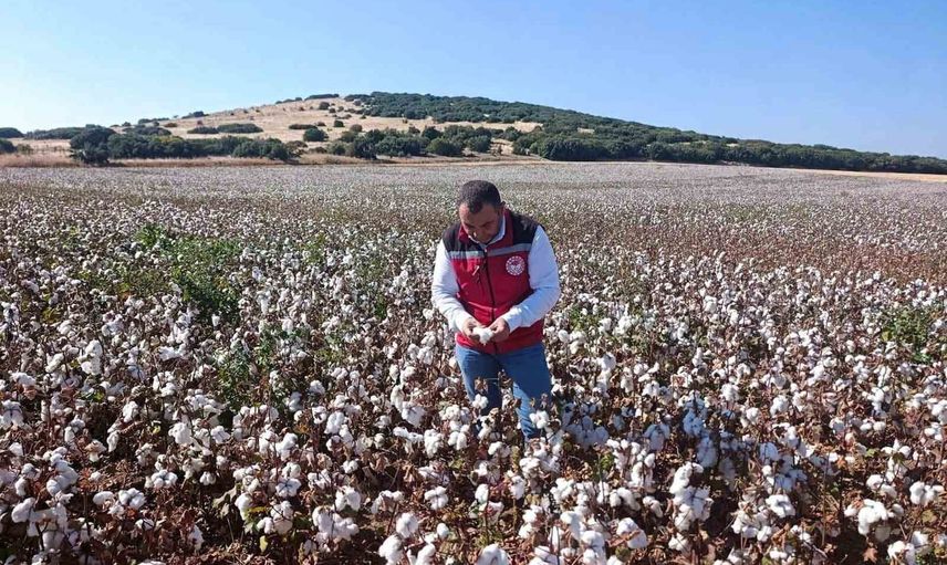 Hasat ve soğutma denetimleriyle Manisa kırsalında kalite güvenceye alınıyor
