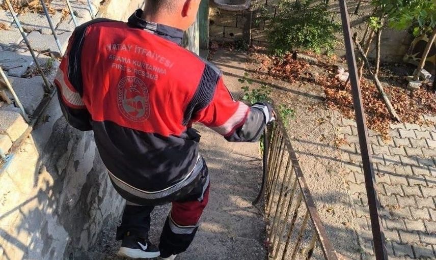 Hatay'da sıcaklarla yerleşimlere inen yılanlar itfaiye ekiplerince doğal alanlarına bırakıldı