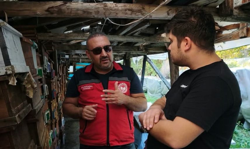 Arılı kovan destek başvurularında son 5 gün