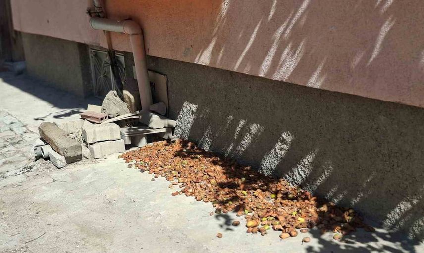 Hisarcık'ta kaldırımlar elma kurutma tezgâhına dönüştü