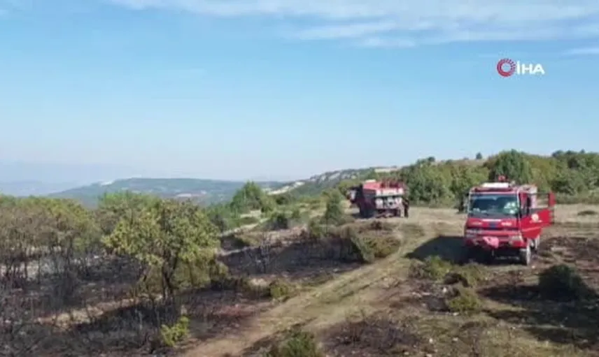 Vezirhan'da bahçe temizliği örtü yangınına yol açtı: 2 hektar zarar gördü