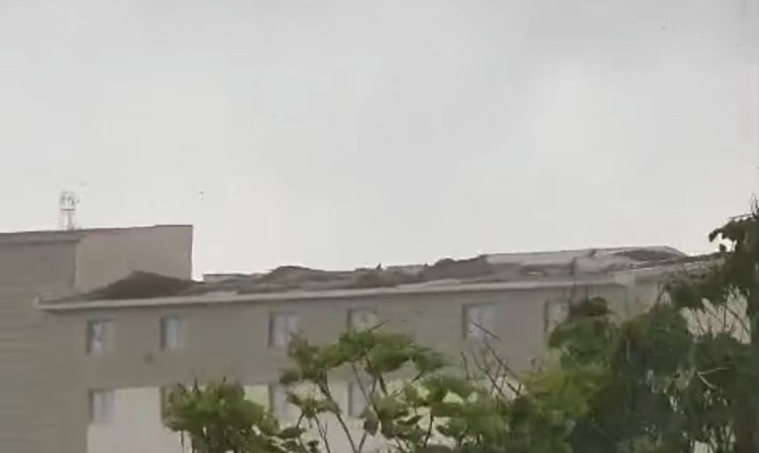 Ani sağanak sonrası çıkan fırtına Van'da çatılara ve ağaçlara zarar verdi