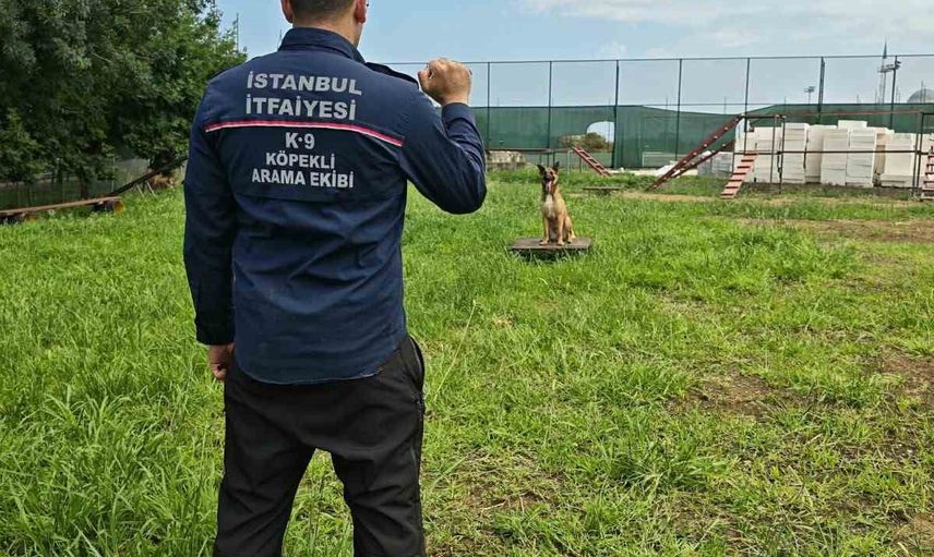 Trabzon'da ekipler ve köpekler enkaz eğitiminde güçleniyor