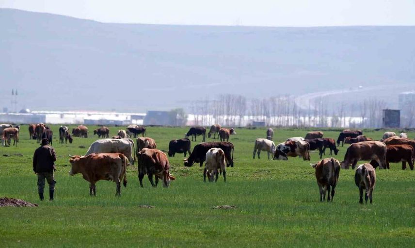 Erzurum'da üretime can veren 329 kırsal projeye 171,281,986 TL hibe
