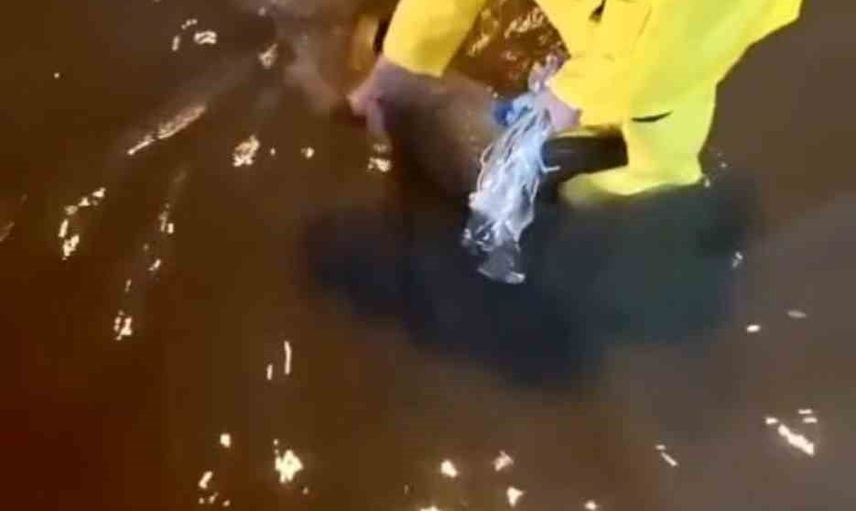 İskenderun'da bulvar kısa sürede normale döndü: mazgallar temizlendi