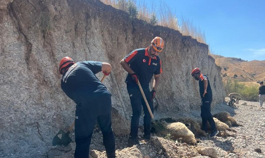 Güzelçay'da toprak kayması küçükbaş sürüsüne zarar verdi