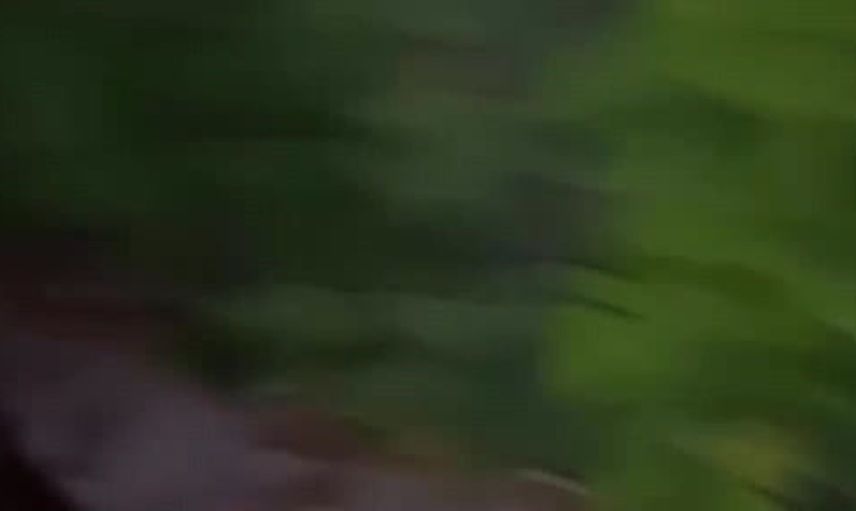 Eş zamanlı baskınlarda skunk ve ecstasy ele geçirildi, üç kişi tutuklandı
