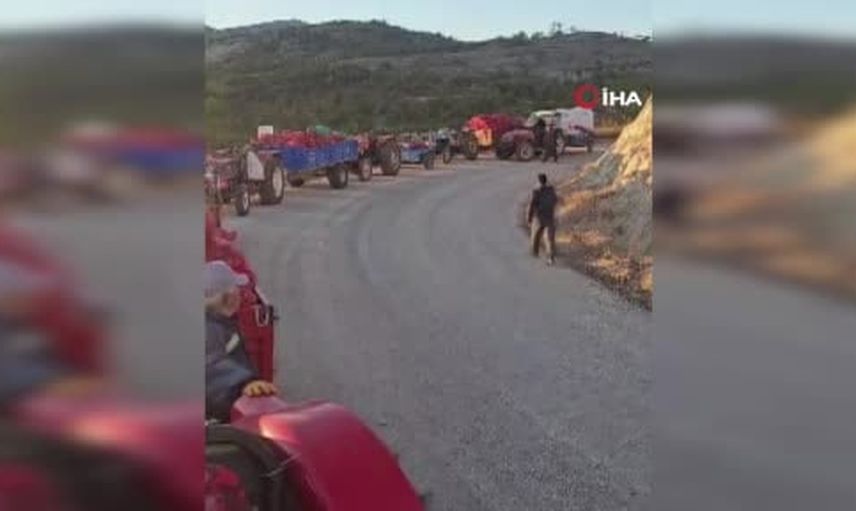 Büyükbelen'de traktör sıraları: Chandler cevizi için sabah mesaisi