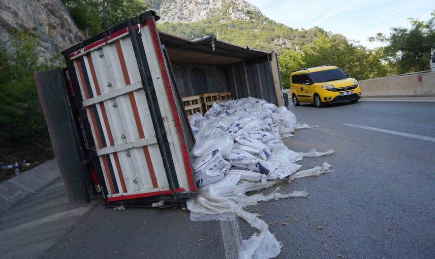 Peletlerin döküldüğü kazada kamyonun kasası devrildi, sürücü hastaneye kaldırıldı