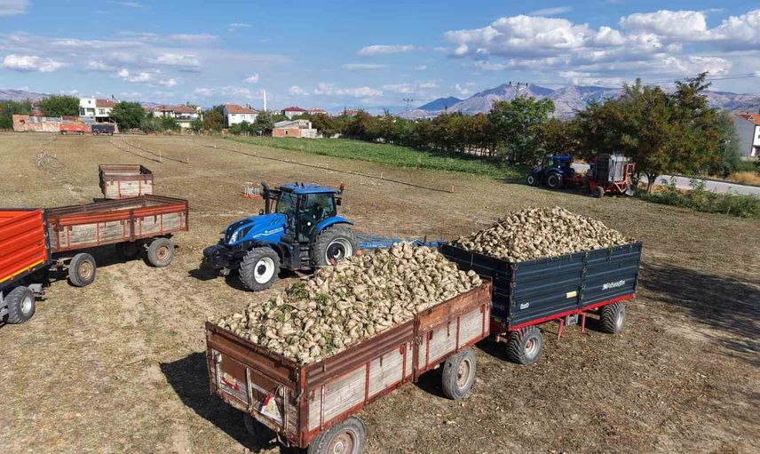 Elazığ'da pancar bereketi: tarladan fabrikaya yoğun mesai