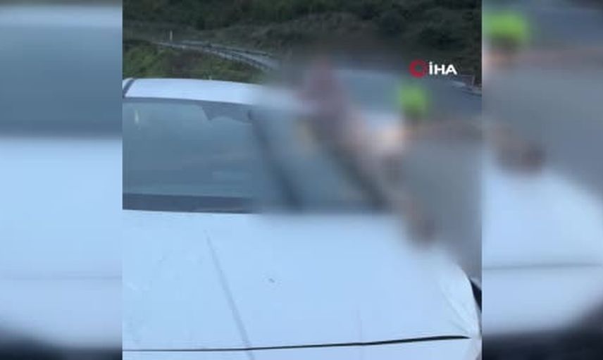 Arnavutköy'de viraj kazası: atın kopan bacağı otomobile saplandı