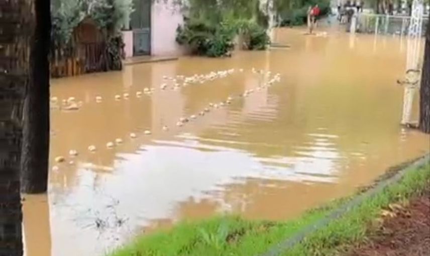 İznik'te derenin taşması mahalleyi ve hal tesisini vurdu
