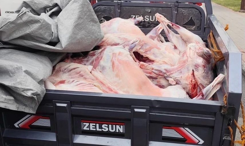 Batman'da kaçak kesimde 14 küçükbaşın etine el konuldu, 52 bin 801 lira ceza kesildi