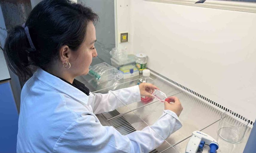 TOGÜ'den hedefe yönelik akıllı nanotaşıyıcılarla kanser tedavisinde yeni adım