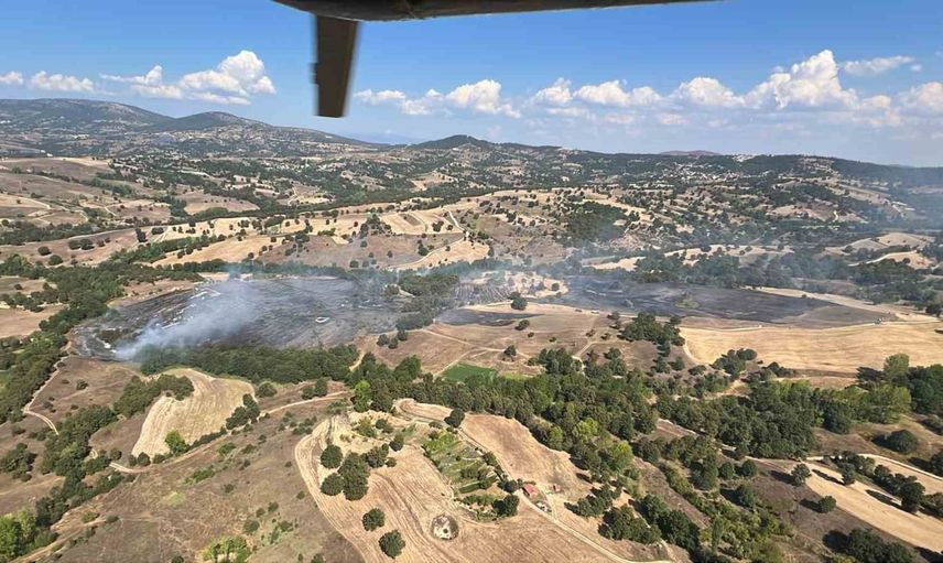 Helikopterlerin müdahalesiyle Bursa'da orman yangını 1,5 saatte kontrol altına alındı